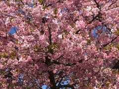 IMG_4206
