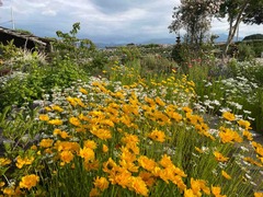 IMG_0704