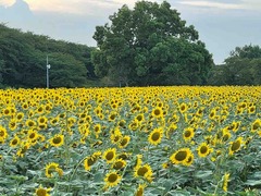 IMG_9570
