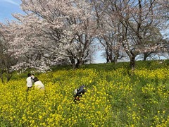 IMG_4676