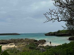 IMG_5486