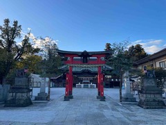 IMG_4332