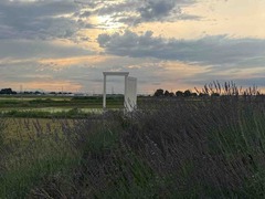 IMG_8221