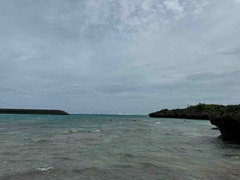 IMG_5477