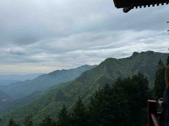 IMG_2717