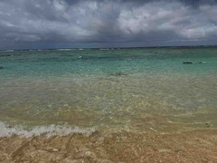 IMG_9734
