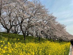 IMG_4677