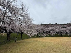 IMG_3289