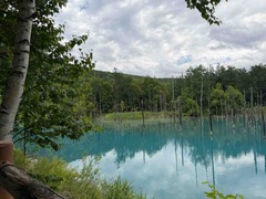 IMG_8880