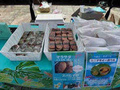 IMG_2735