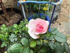 IMG_7665