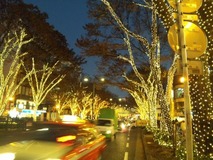 ¸¶½É¥¤¥ë¥ß