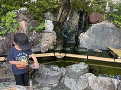 IMG_6211