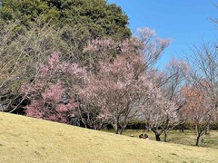 IMG_3976