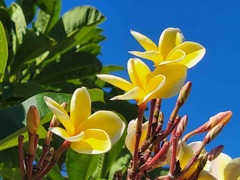 IMG_5749
