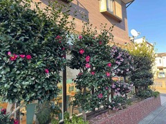IMG_0097