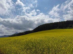 IMG_8897