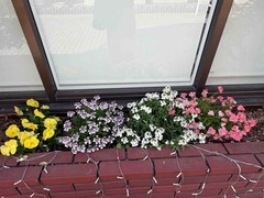IMG_6357