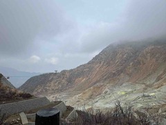 IMG_2942