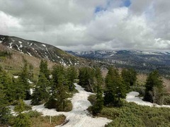 IMG_3680