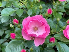 IMG_9829