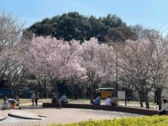 IMG_4565