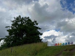 IMG_8706