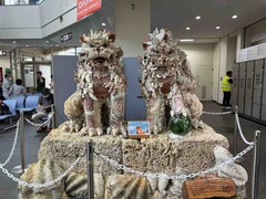 IMG_5455