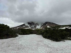 IMG_3696