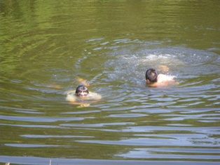 カッパとマナティ : 県農生物部