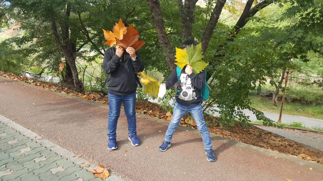 日本語補習授業校 ニュースレターno 003 韓国 ブンダン日本語