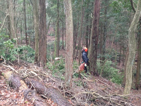 方向確認