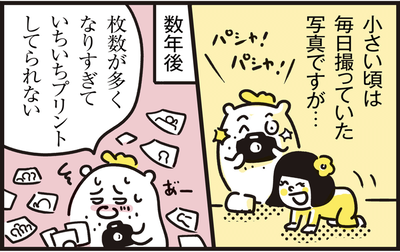 sample