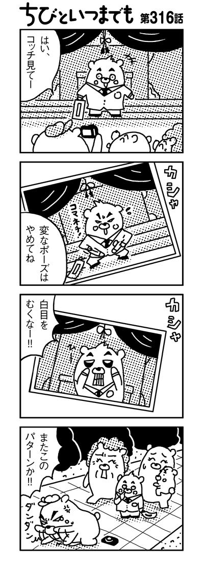 101129_4koma_sk316