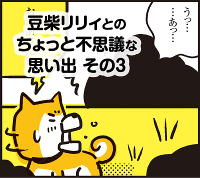豆柴リリィとの思い出 その3 母が山で大ピンチ 漫画 新ちびといつまでも 育児と 暮らしと 乳がんと Powered By ライブドアブログ 豆柴リリィとの思い出 その3 母が山で大ピンチ 漫画 新ちびといつまでも 育児と 暮らしと 乳がんと Powered By ライブドアブログ