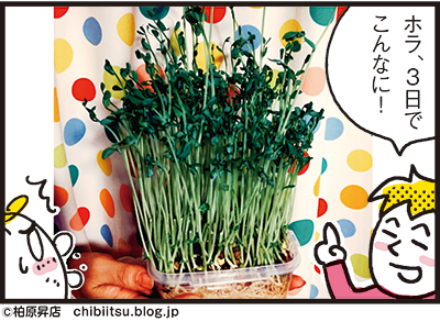 180219_shin-chibiitu2_A077(5koma)5
