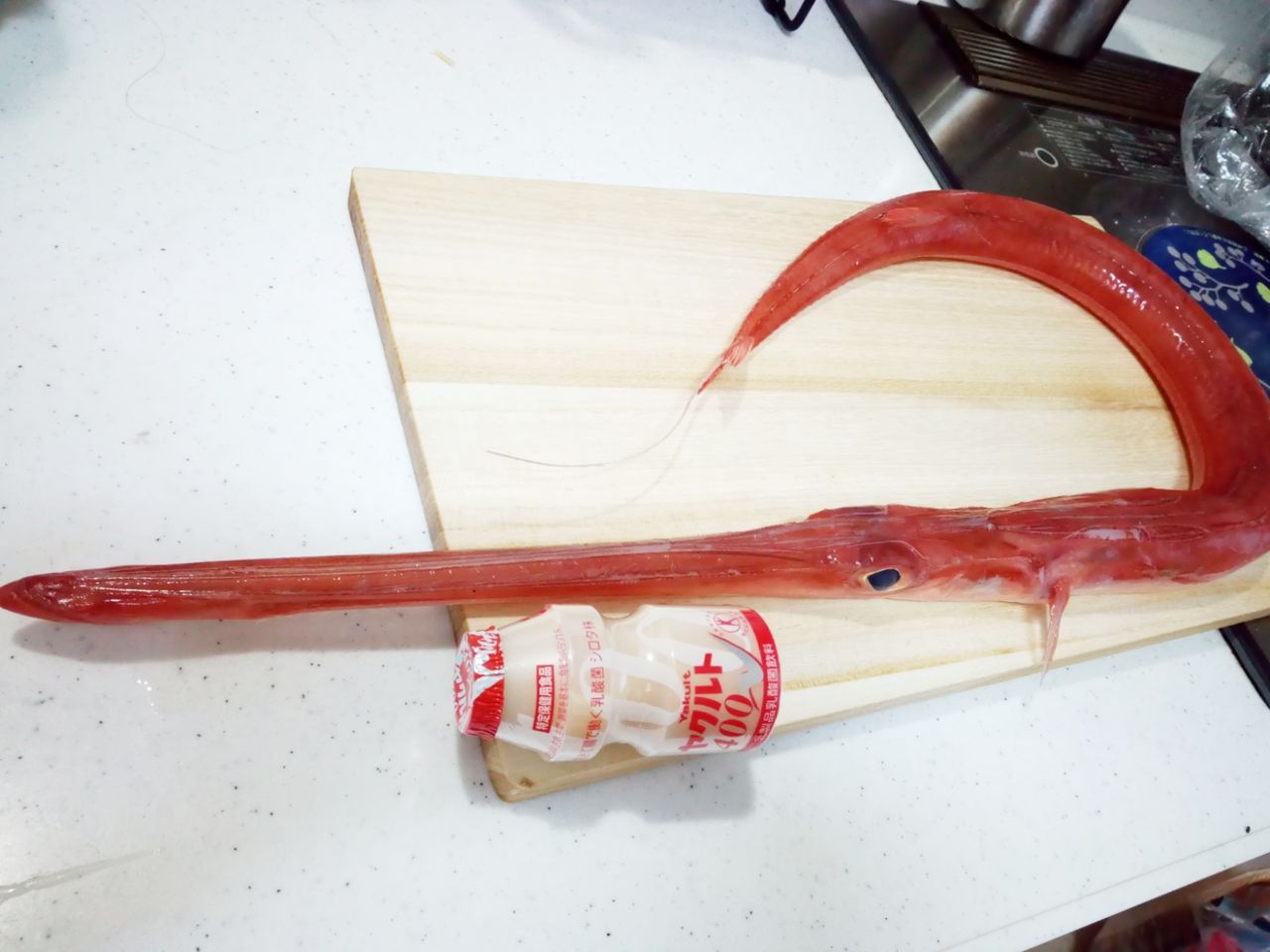 閲覧注意 身体の半分が顔 の魚を食すw Fz1 Fazerと始める うぃあーど Weird 生活 閲覧注意 身体の半分が顔 の魚を食すw Fz1 Fazerと始める うぃあーど Weird 生活