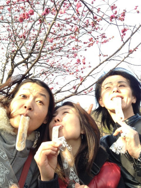 $KC/DC 《キタヤクリーニングだいすき倶楽部》