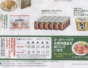 �ѥ륷���ƥ�ǯ������