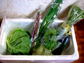 パルシステムのグリーンボックスの中身