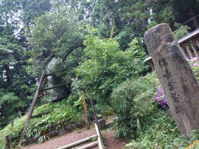 イメージ 12