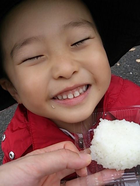 はっとん 暖 S Life