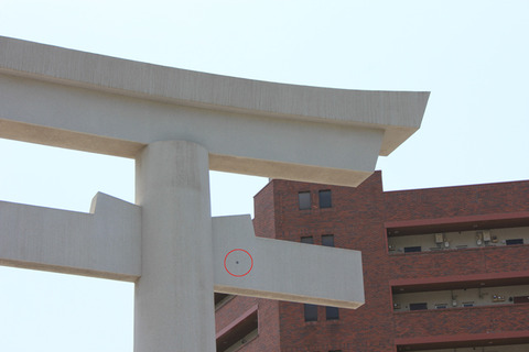 torii_teru