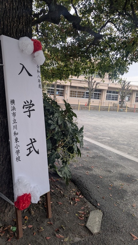 PXL_20260407_020051645