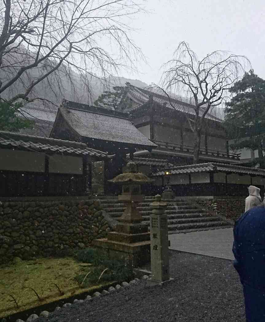 あら 雪降ってるじゃない 寒いと思ったわ 空想どうでしょう ブログ あら 雪降ってるじゃない 寒いと思ったわ 空想どうでしょう ブログ