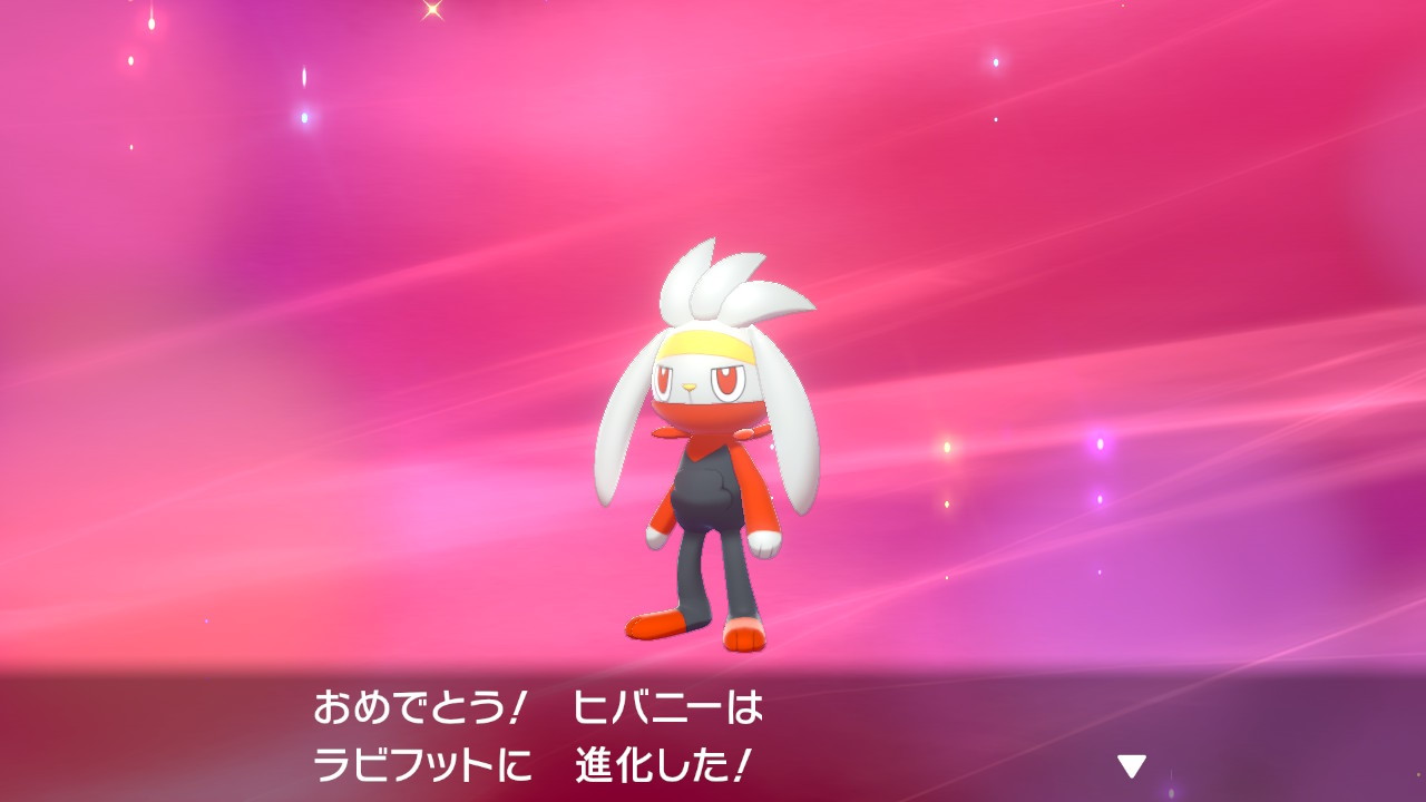 ポケモンシールド購入 空想どうでしょう ブログ