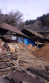 61a06229.jpg