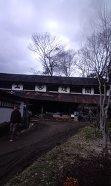 d0fef567.jpg