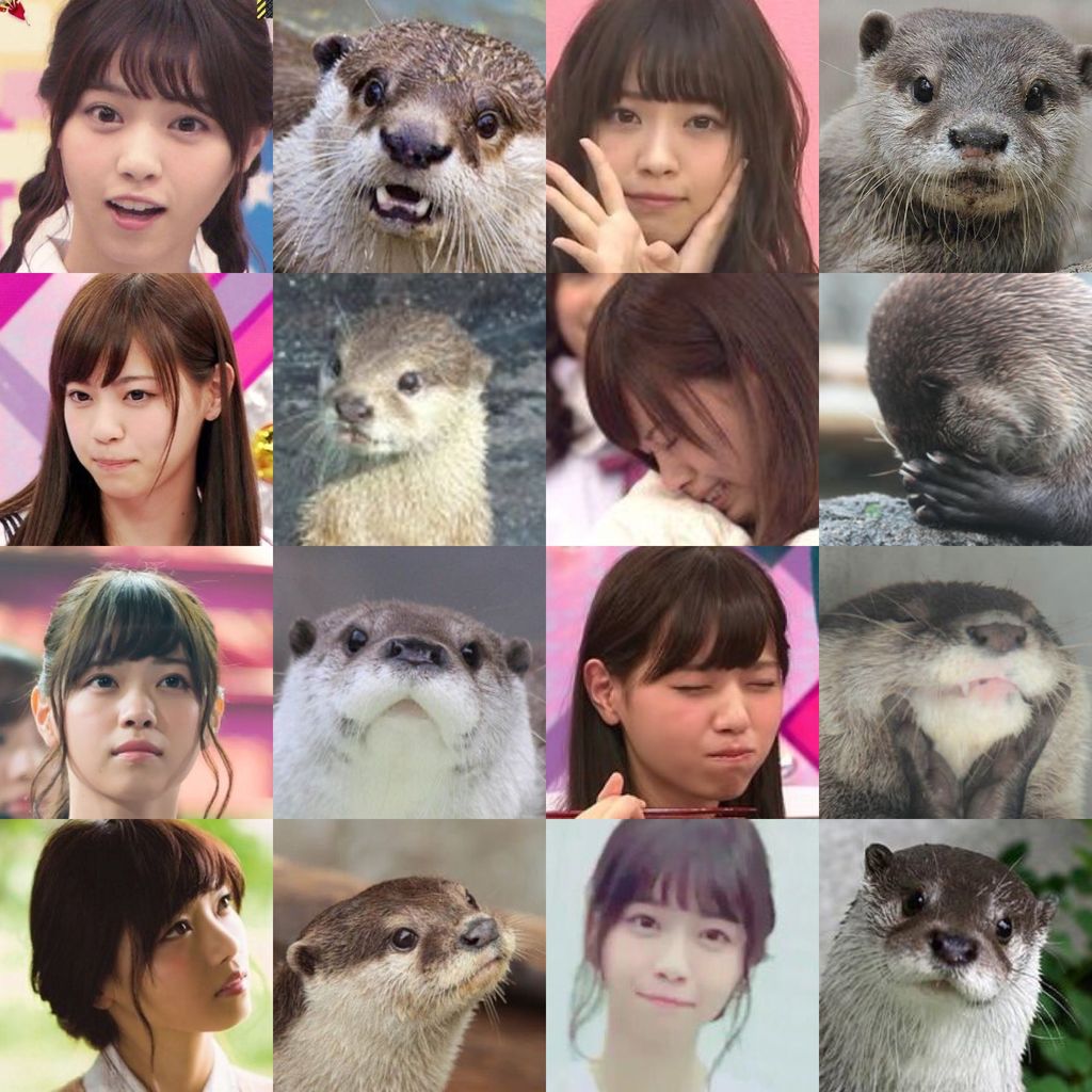 乃木坂46 西野七瀬 犬や鹿に似てるって言われたことあります 欅坂まとめ 乃木坂46 西野七瀬 犬や鹿に似てるって言われたことあります 欅坂まとめ