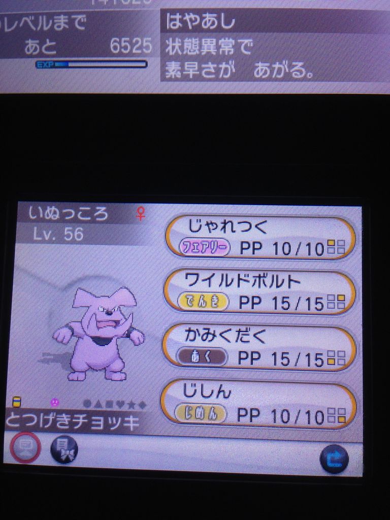 ポケモン Xy さぁ統一戦線のスタートだ 名も無き船乗りの真言